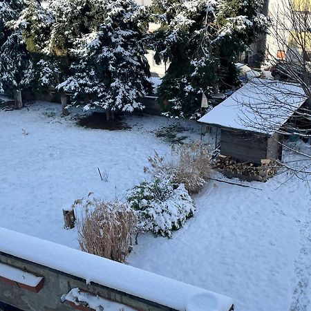Ferienwohnung Dieblich An Der Mosel Exteriér fotografie