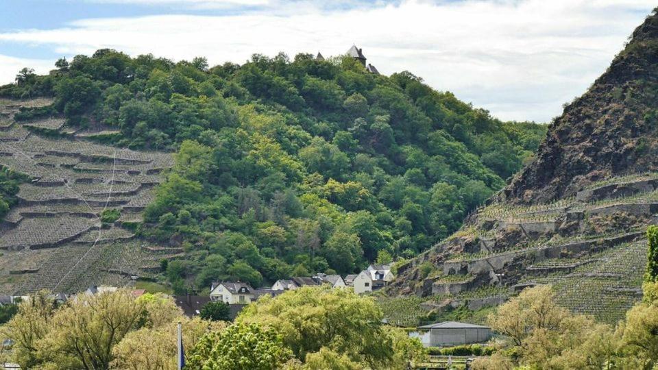 Ferienwohnung Dieblich An Der Mosel Exteriér fotografie